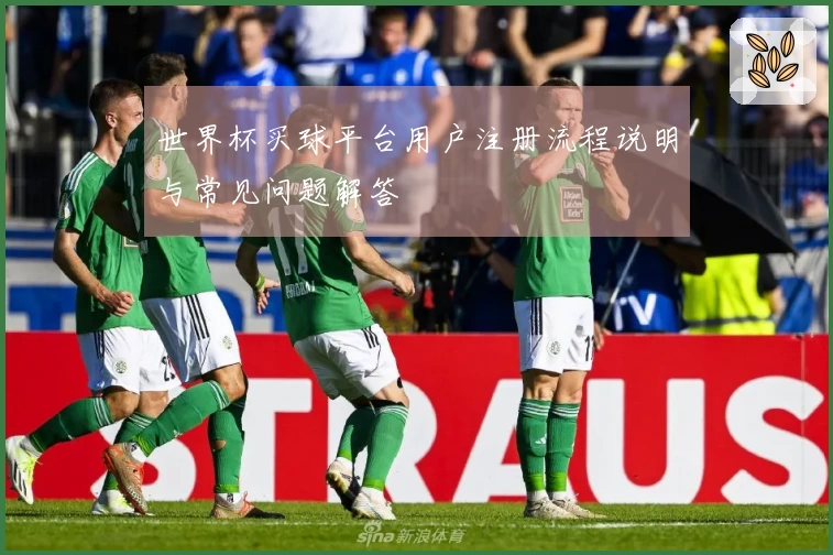 世界杯买球平台用户注册流程说明与常见问题解答
