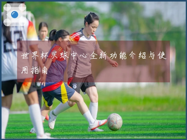 世界杯买球中心全新功能介绍与使用指南