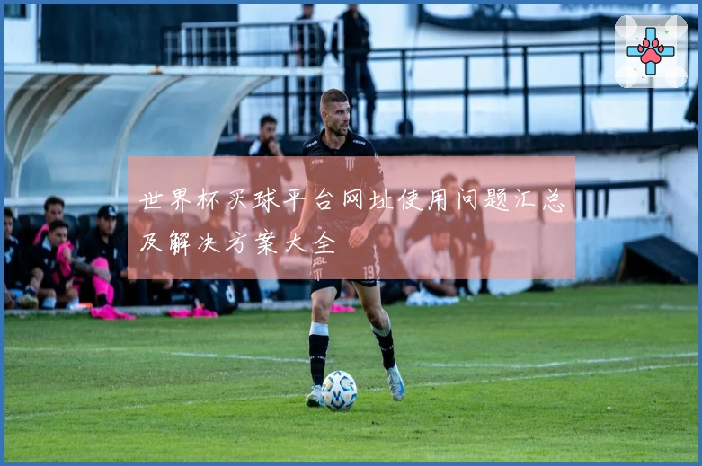 世界杯买球平台网址使用问题汇总及解决方案大全