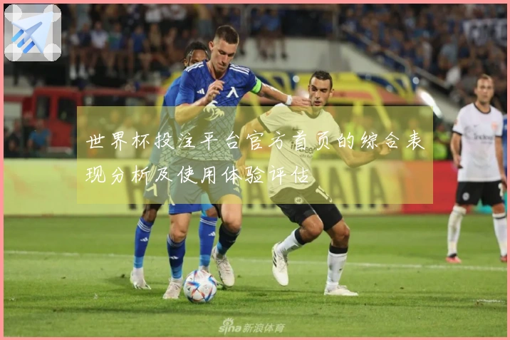 世界杯投注平台官方首页的综合表现分析及使用体验评估