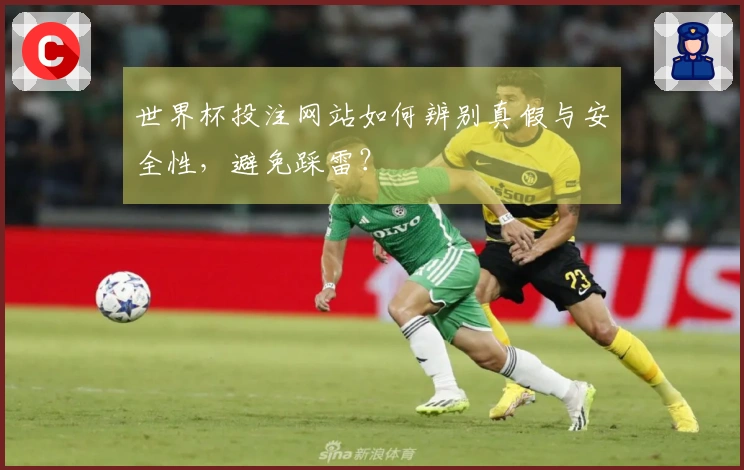 世界杯投注网站如何辨别真假与安全性，避免踩雷？