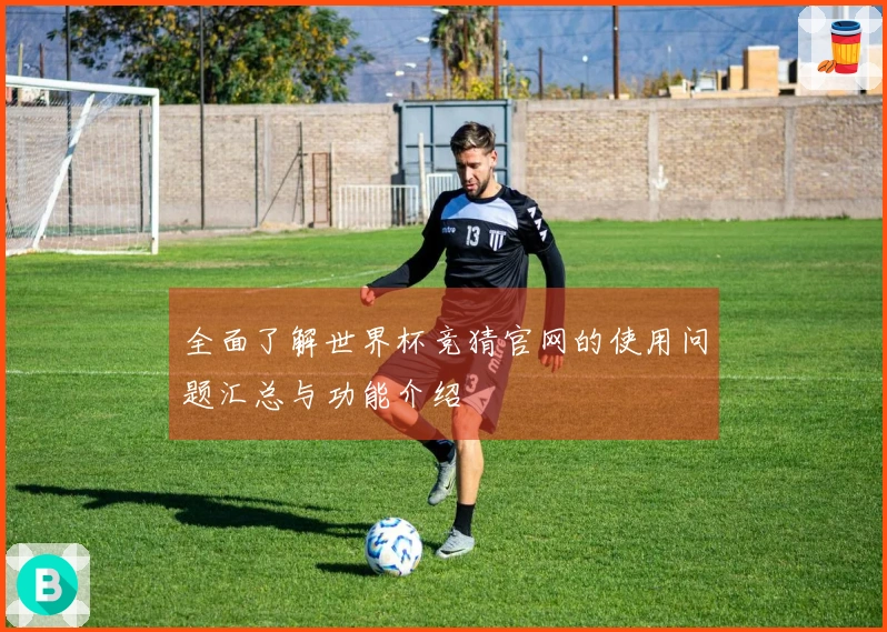 全面了解世界杯竞猜官网的使用问题汇总与功能介绍