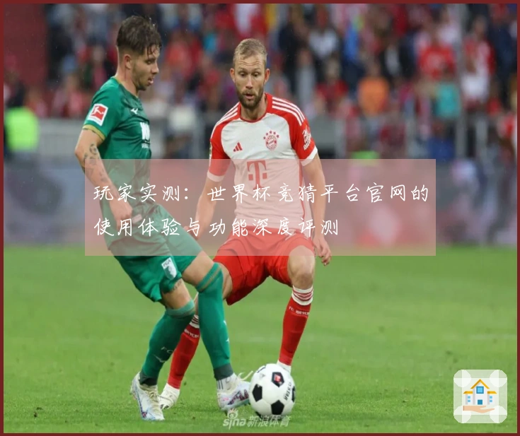玩家实测：世界杯竞猜平台官网的使用体验与功能深度评测