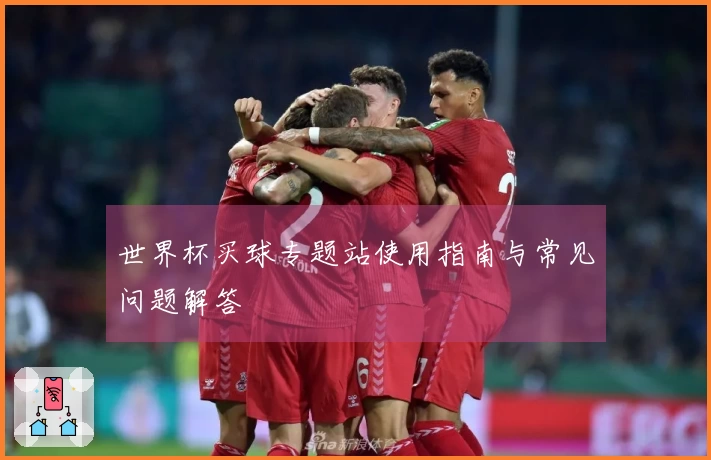 世界杯买球专题站使用指南与常见问题解答