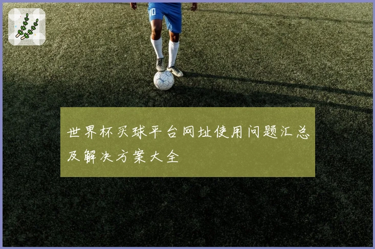 世界杯买球平台网址使用问题汇总及解决方案大全