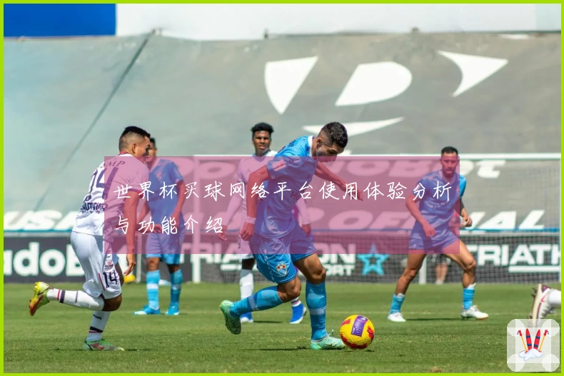 世界杯买球网络平台使用体验分析与功能介绍