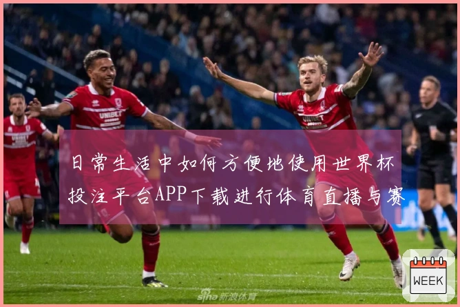 日常生活中如何方便地使用世界杯投注平台APP下载进行体育直播与赛事关注