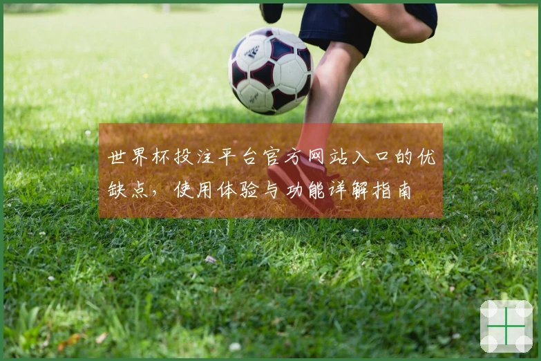 世界杯投注平台官方网站入口的优缺点，使用体验与功能详解指南