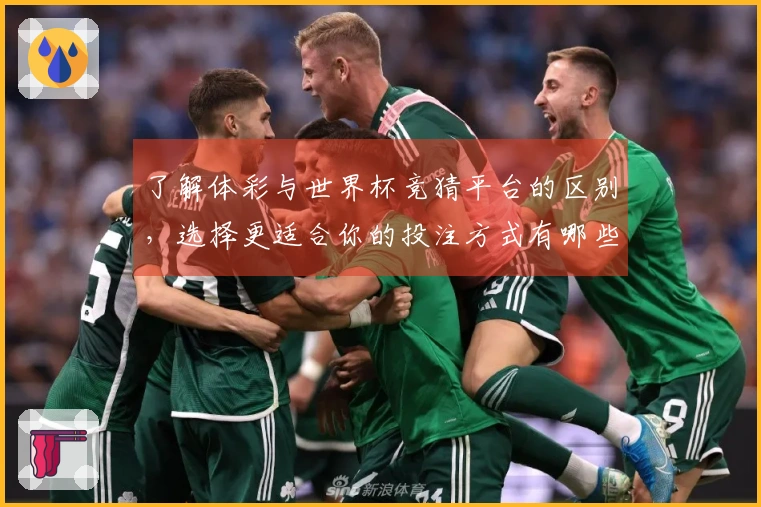 了解体彩与世界杯竞猜平台的区别，选择更适合你的投注方式有哪些关键点？