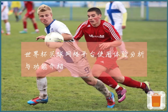 世界杯买球网络平台使用体验分析与功能介绍