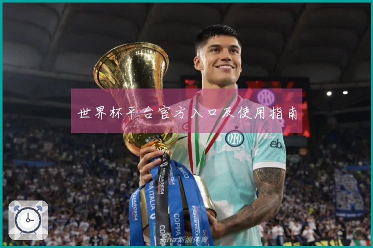 世界杯平台官方入口及使用指南