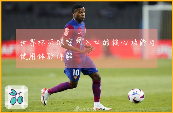 世界杯买球官网入口的核心功能与使用体验详解