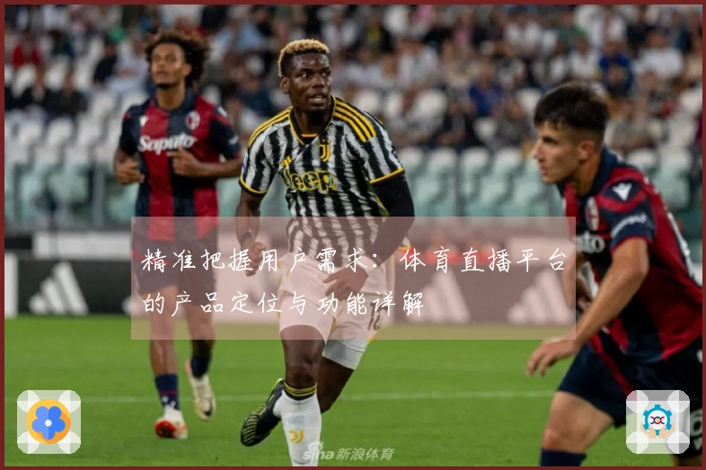 精准把握用户需求：体育直播平台的产品定位与功能详解
