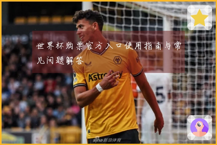 世界杯购票官方入口使用指南与常见问题解答