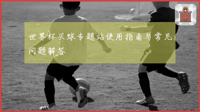 世界杯买球专题站使用指南与常见问题解答