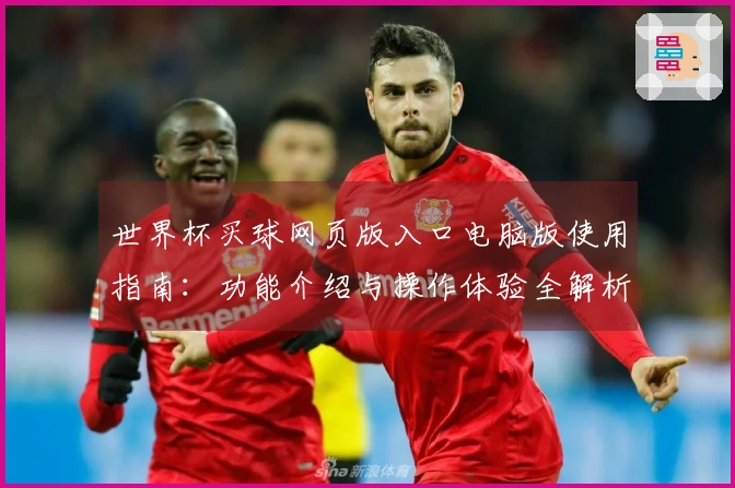 世界杯买球网页版入口电脑版使用指南：功能介绍与操作体验全解析